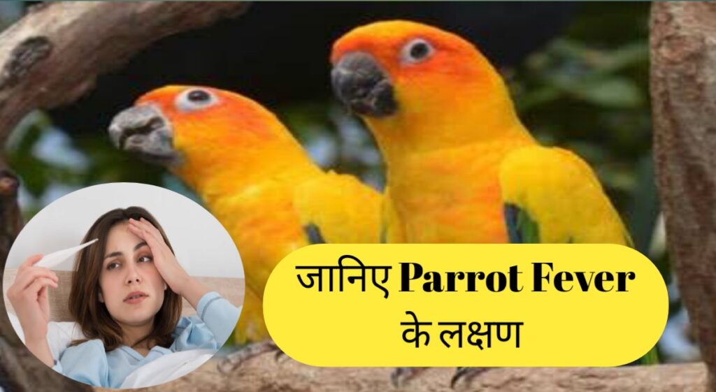 Parrot fever ke lakshan 